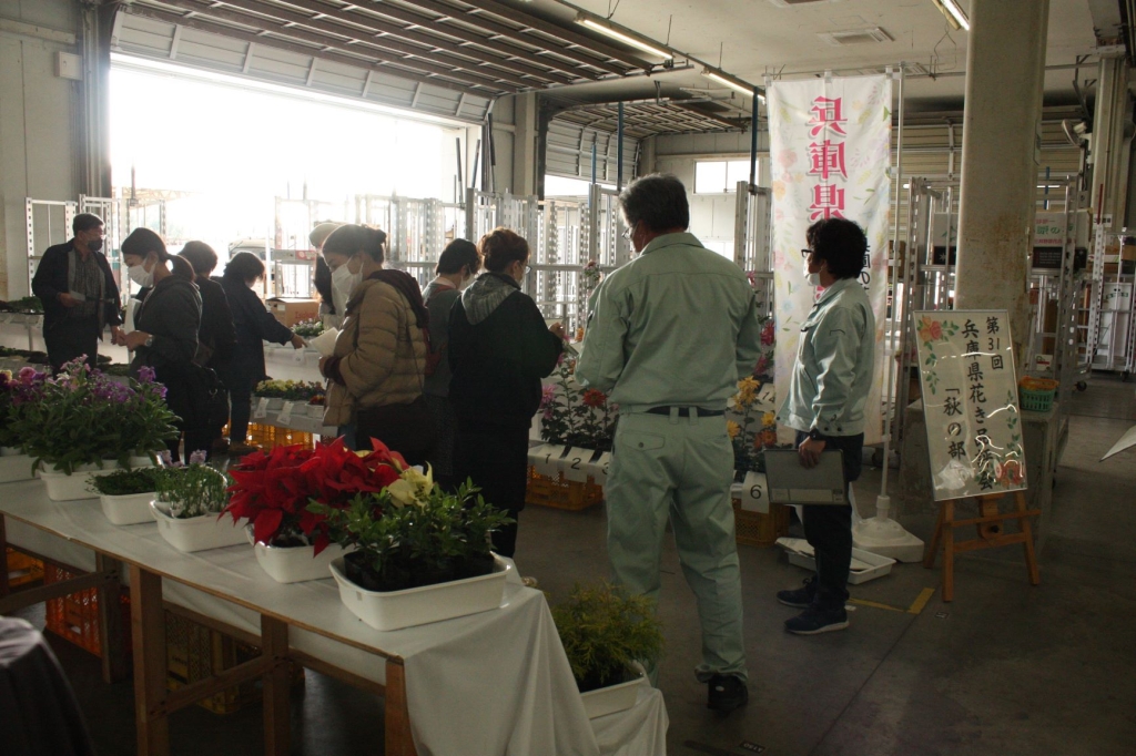 第33回兵庫県花き品評会「秋の部」の開催について