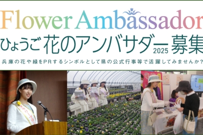 ひょうご花のアンバサダー２０２５を募集中です！
