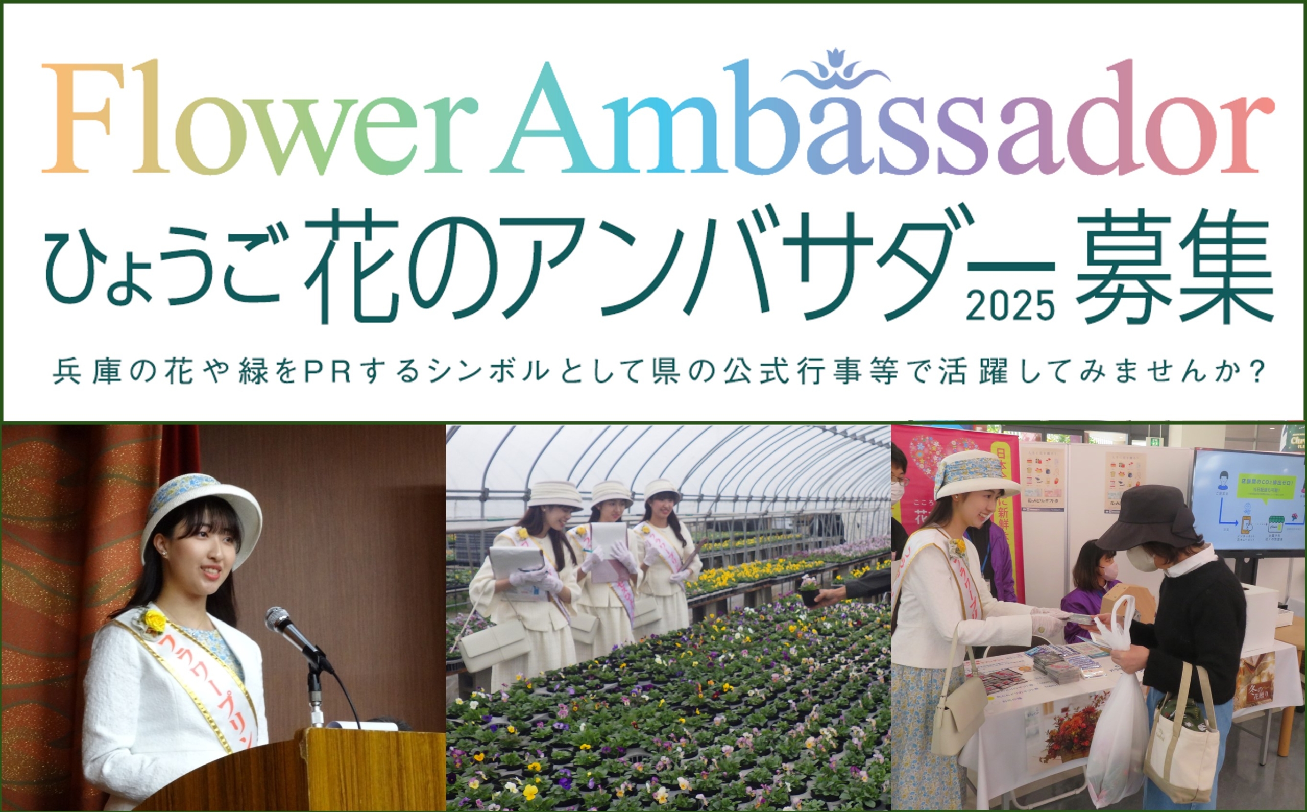 ひょうご花のアンバサダー2025を募集中です！ - フラワー